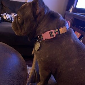 Meet your Posher, Bobby